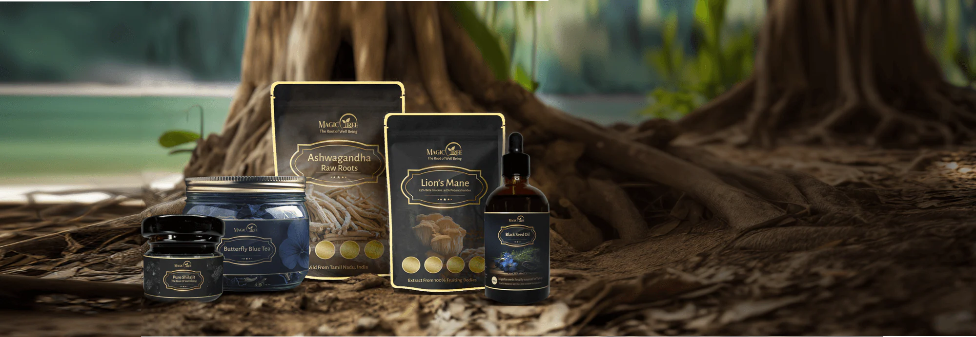 Heal Your Body and Spirit